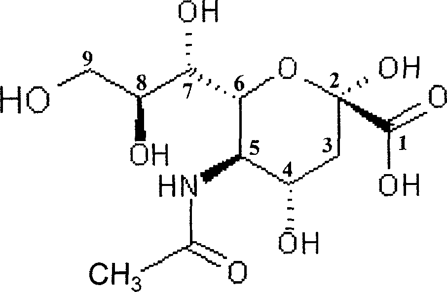 Nutrition replenisher containing sialic acid and its derivative