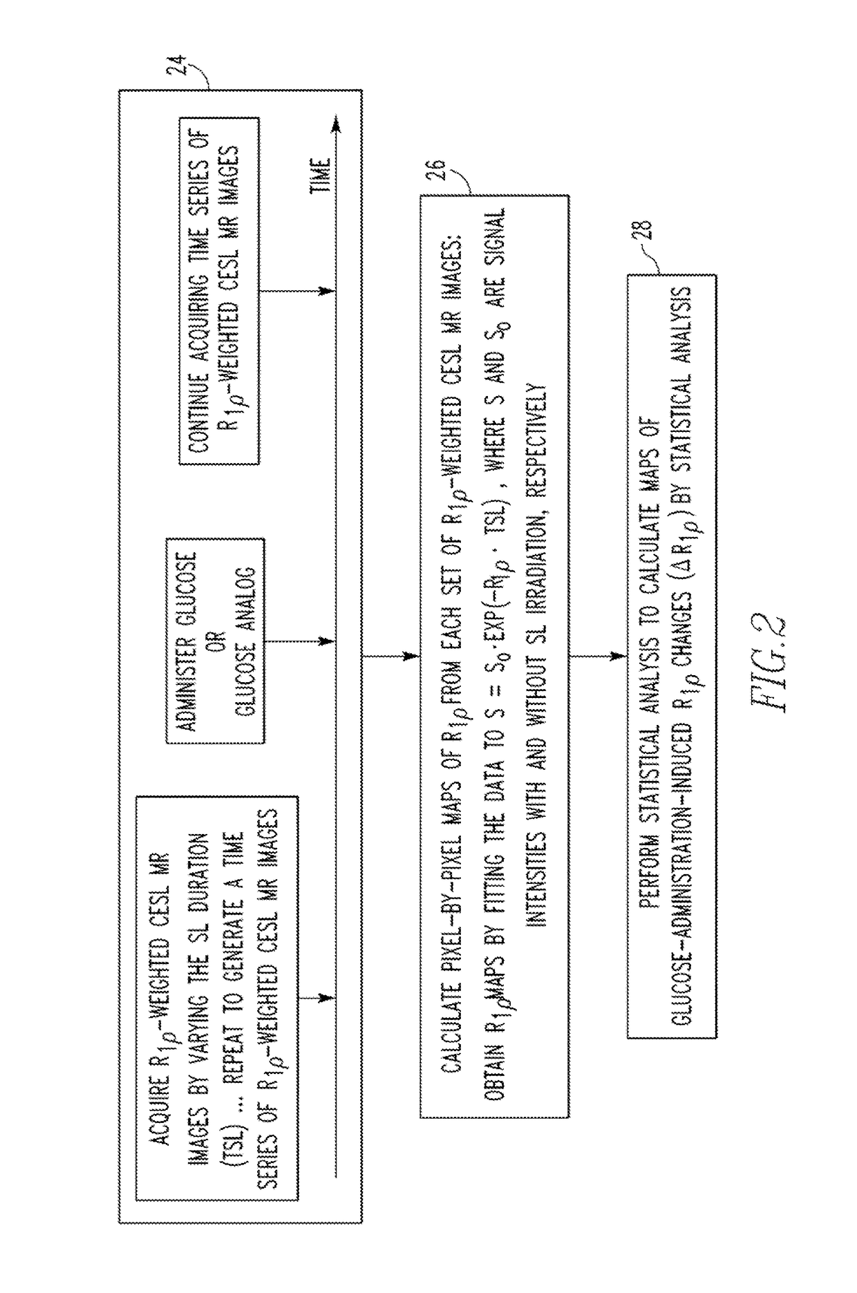 Method and system for monitoring glucose transport and metabolism by spin-lock magnetic resonance