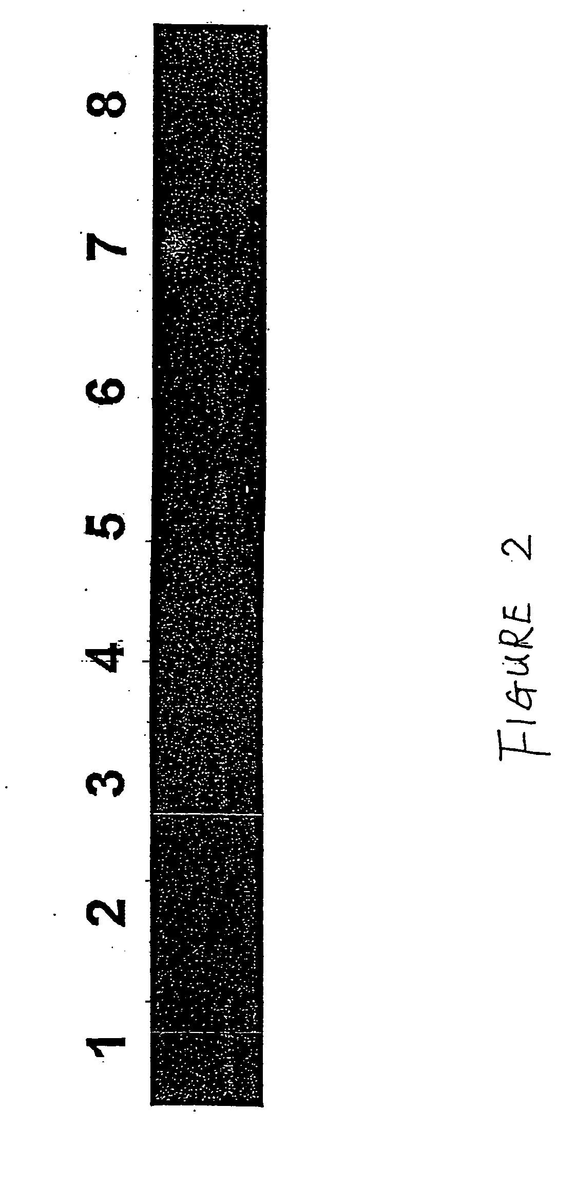 Method for the detection of cancer related gene transcripts in blood