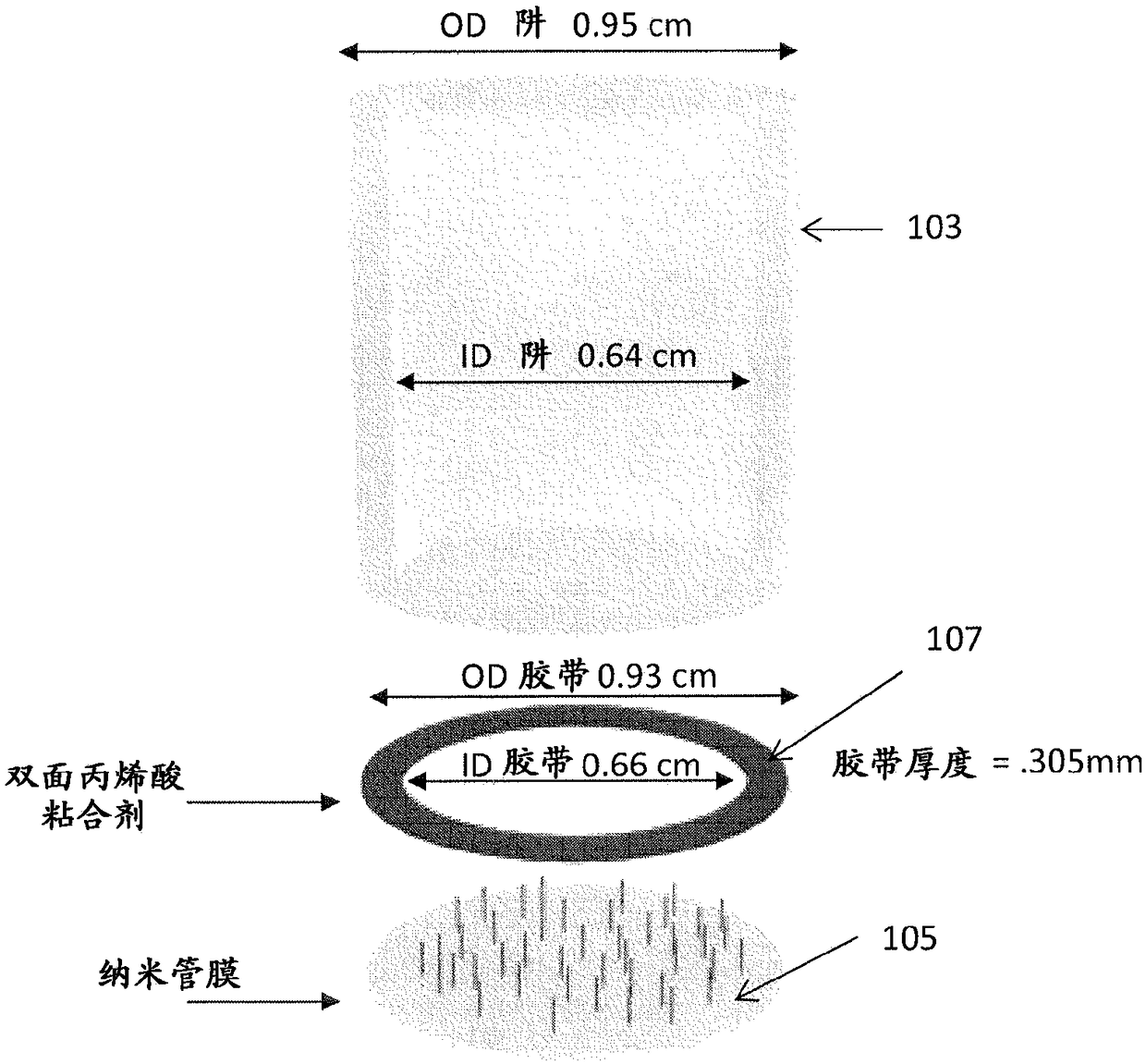 Nanostraw well insert devices for improved cell transfection and viability