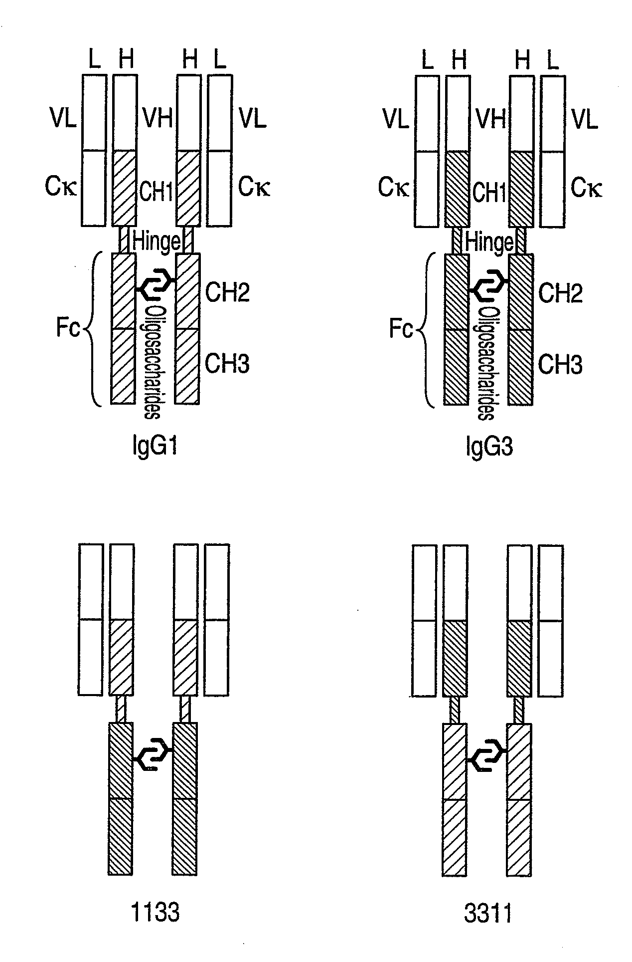 Recombinant Antibody Composition