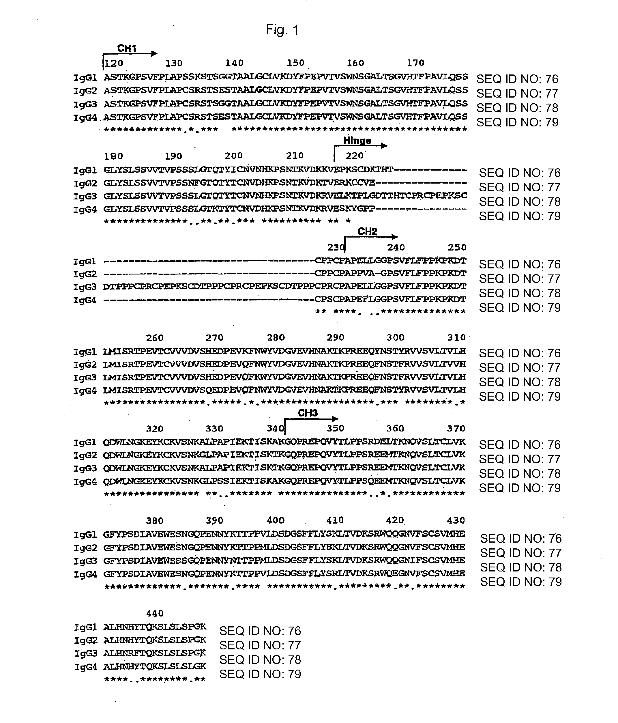 Recombinant Antibody Composition