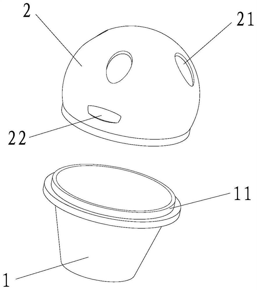 Cultivation container for cultivating begonia plants and cultivation method