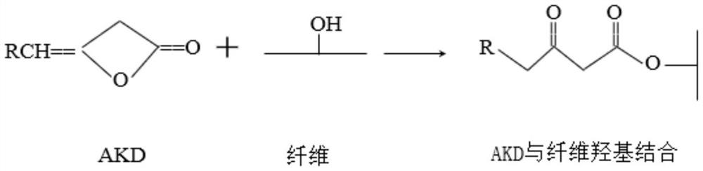 A kind of chitosan modified cationic starch emulsifier and the method for preparing AKD emulsion thereof