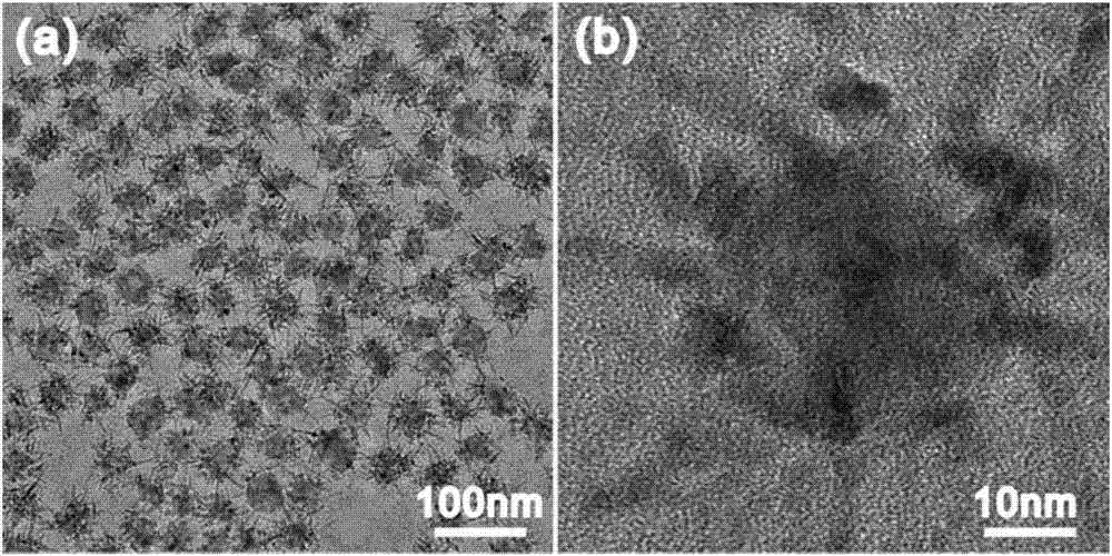 Preparation method for copper rhodium bimetal ramiform material