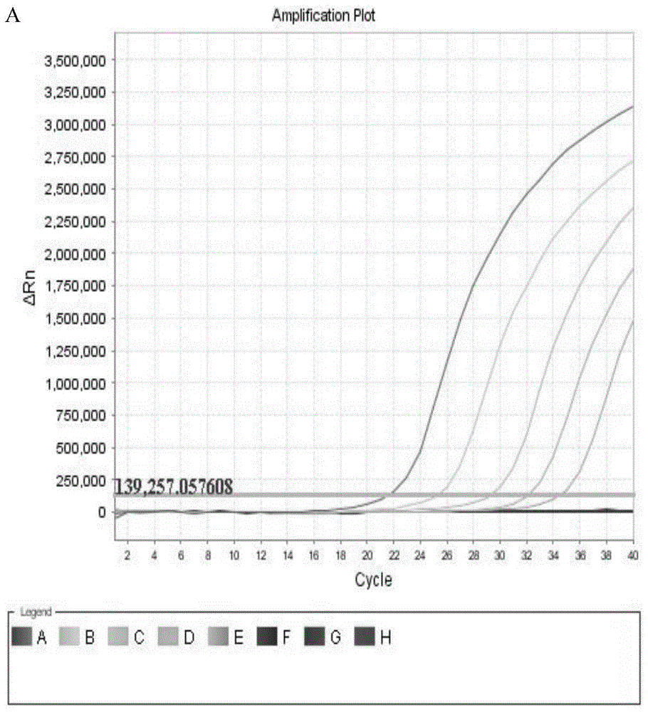 Method and special kit thereof for detecting babesia