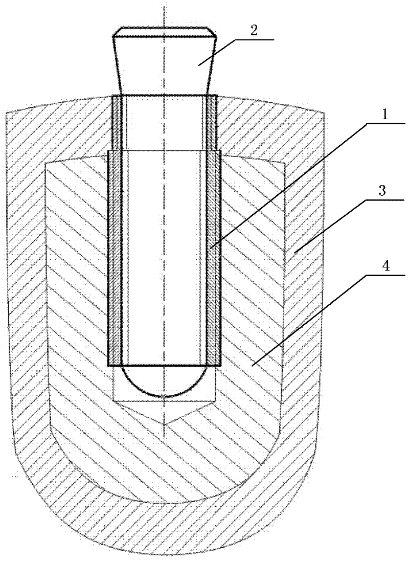 Oral implantation method for improving jaw bearing mode and screw implant