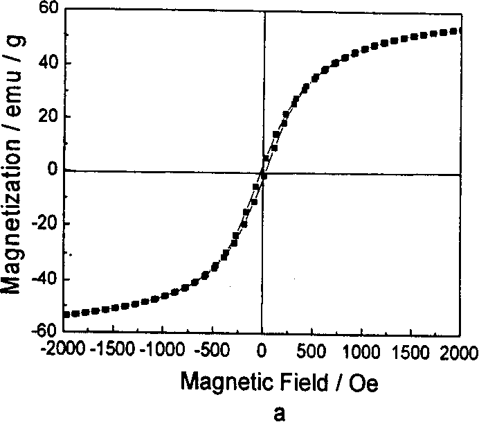 Ultrasound wave auxiliary hydrothermal synthesis technique for magnetic magnetic iron oxide nano ultra-tiny grain