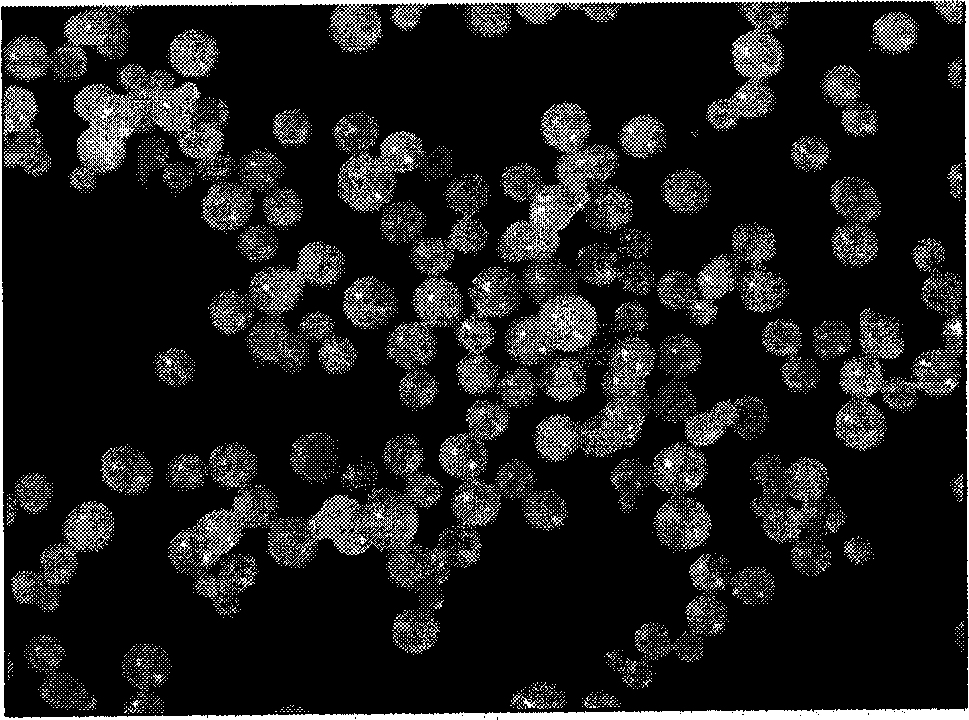 Spherical magnesium halide adduct and preparation method and application thereof