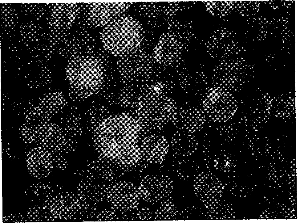 Spherical magnesium halide adduct and preparation method and application thereof