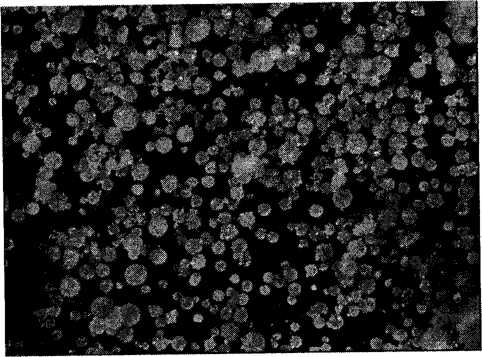 Spherical magnesium halide adduct and preparation method and application thereof