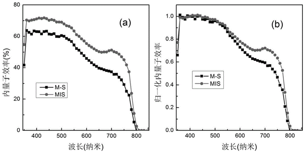 Metal-insulating layer-semiconductor back contact interface structure and preparation method for perovskite organic lead halide thin film solar cells