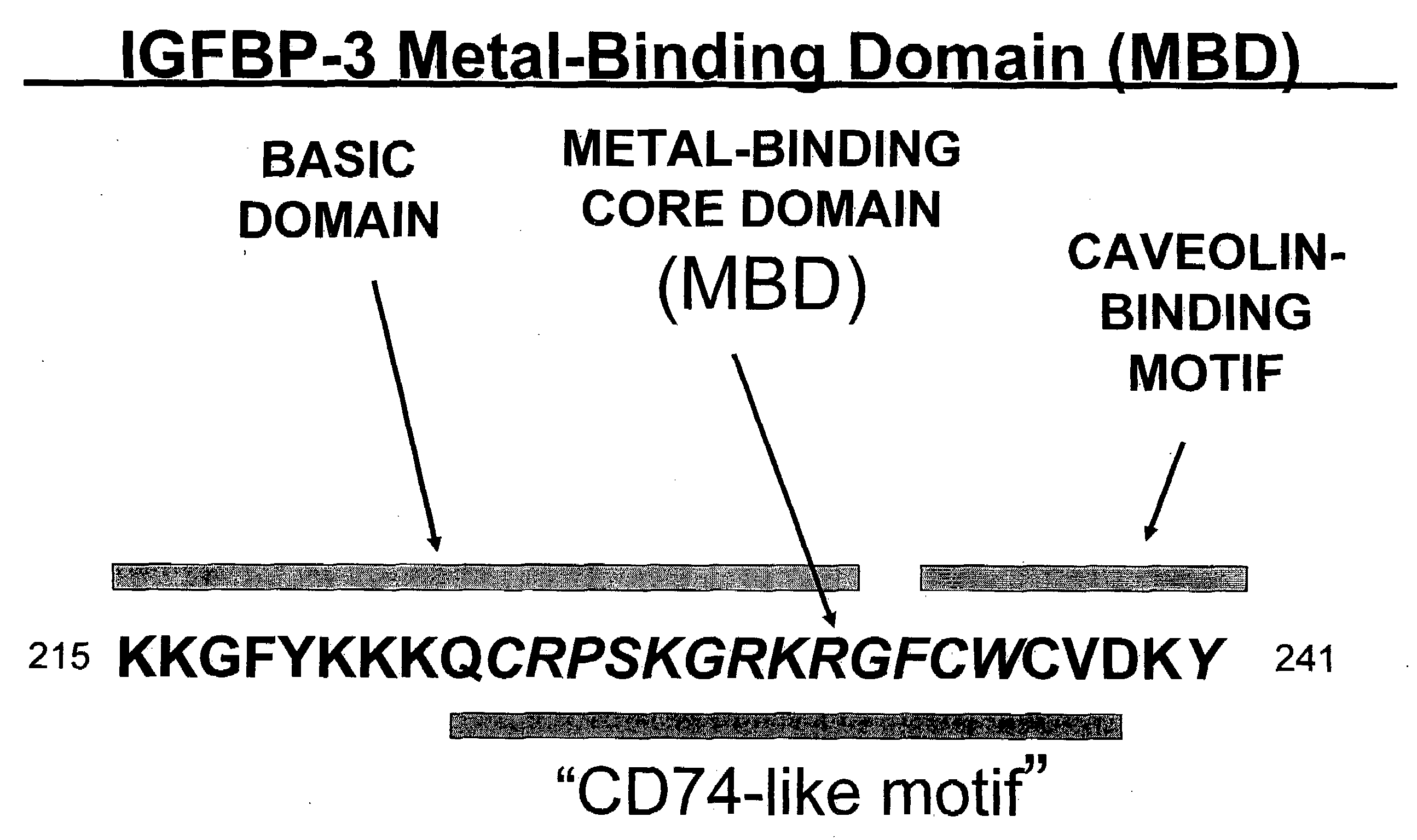 Metal-binding therapeutic peptides