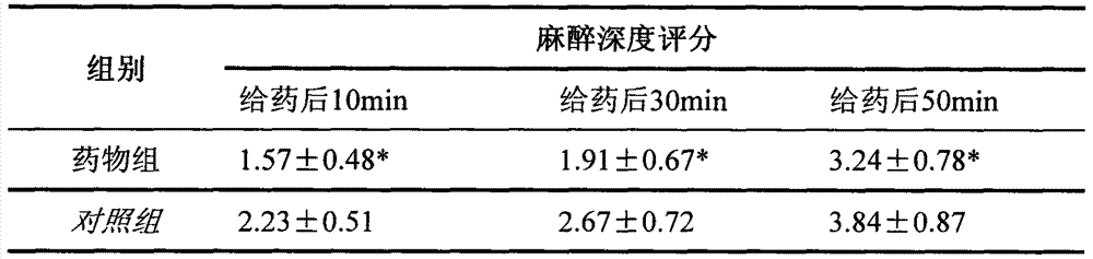 Traditional Chinese medicine anesthetic and preparation method thereof