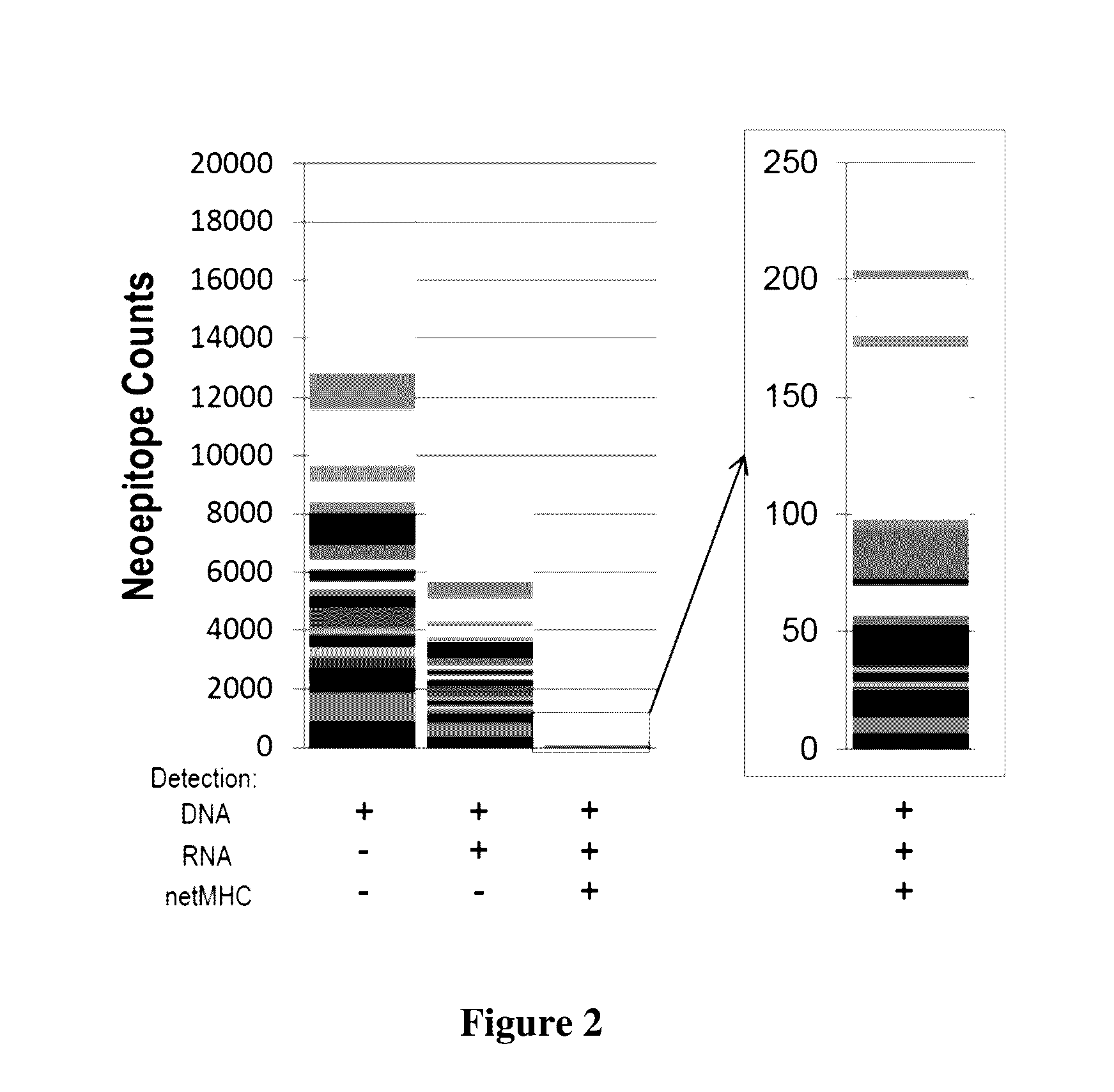 Compositions And Methods For Viral Cancer Neoepitopes