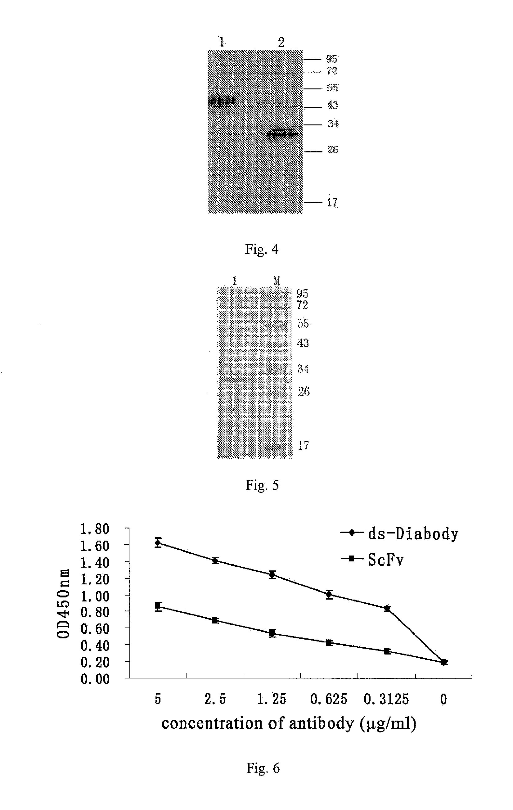 Anti-bfgf humanized double-stranded antibody with stable disulfide bond, preparation method and application thereof