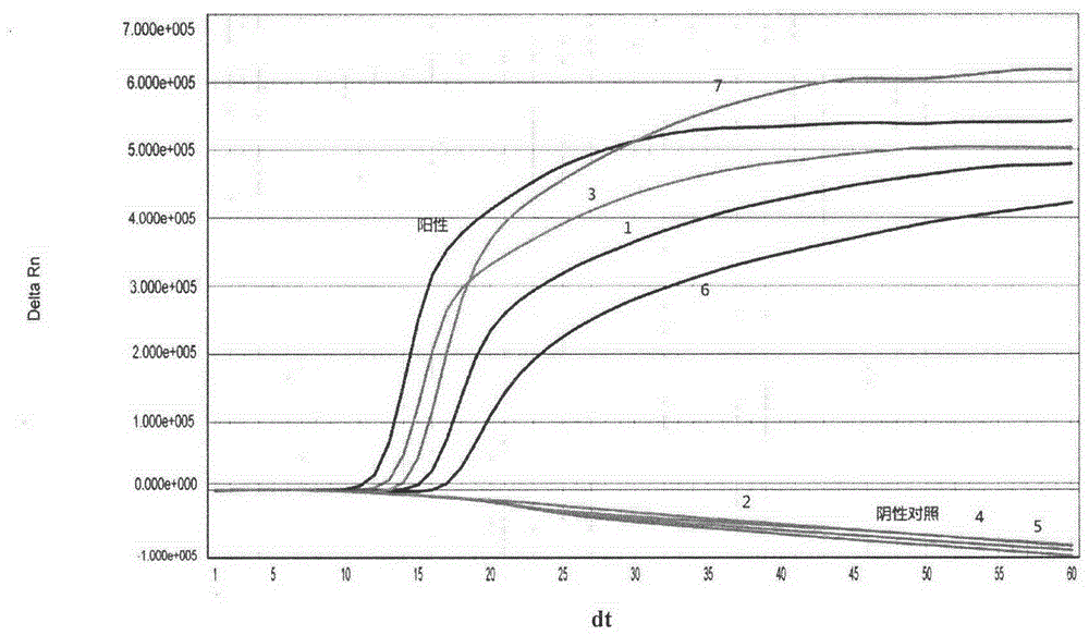 A Coxsackie virus type a16 (ca16) real-time fluorescent nucleic acid constant temperature amplification detection kit