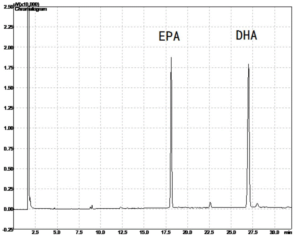 Method for preparing high-purity EPA ester and DHA ester monomers by virtue of simulated moving bed chromatography