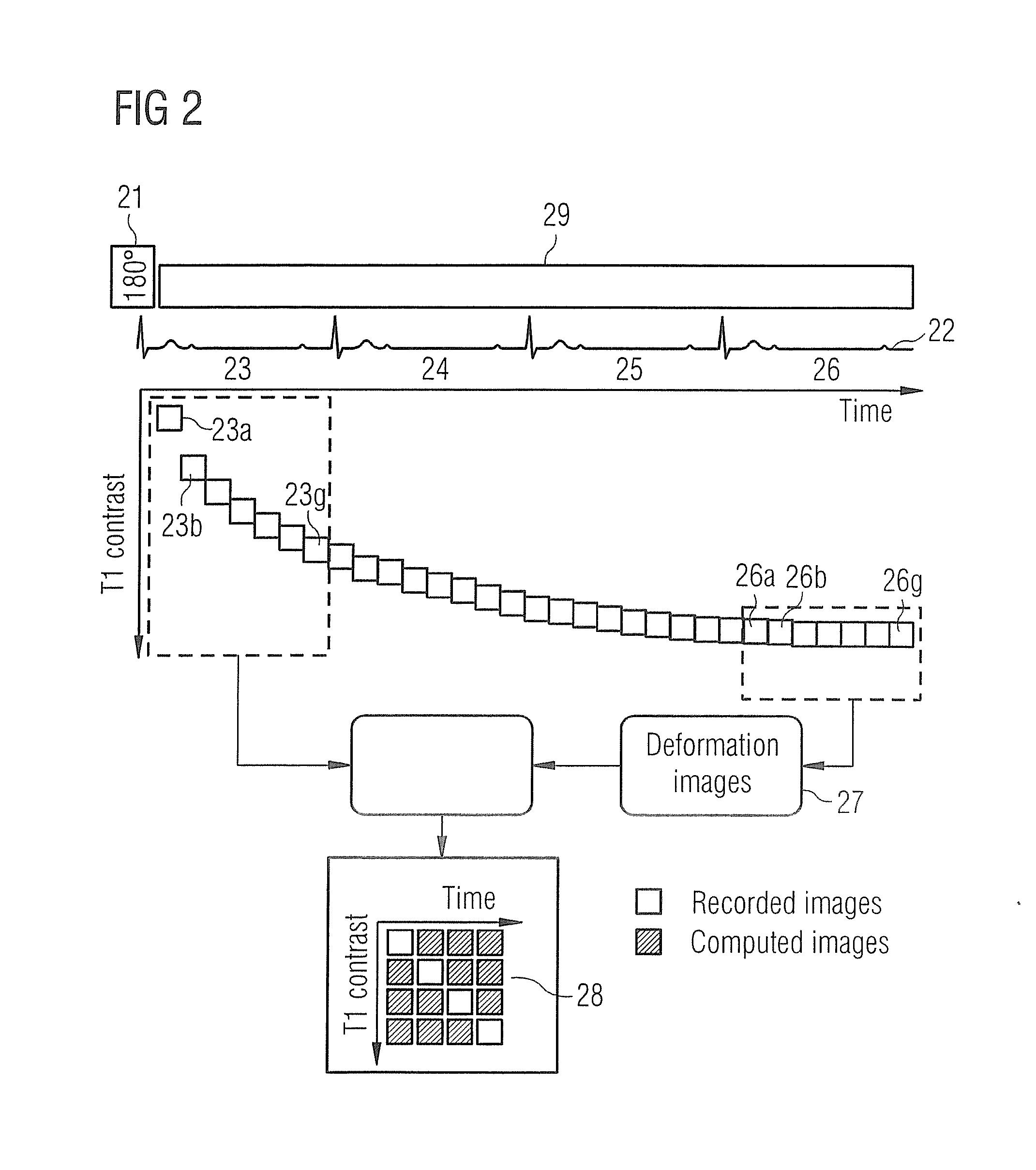 Dynamic magnetic resonance imaging with variable contrast