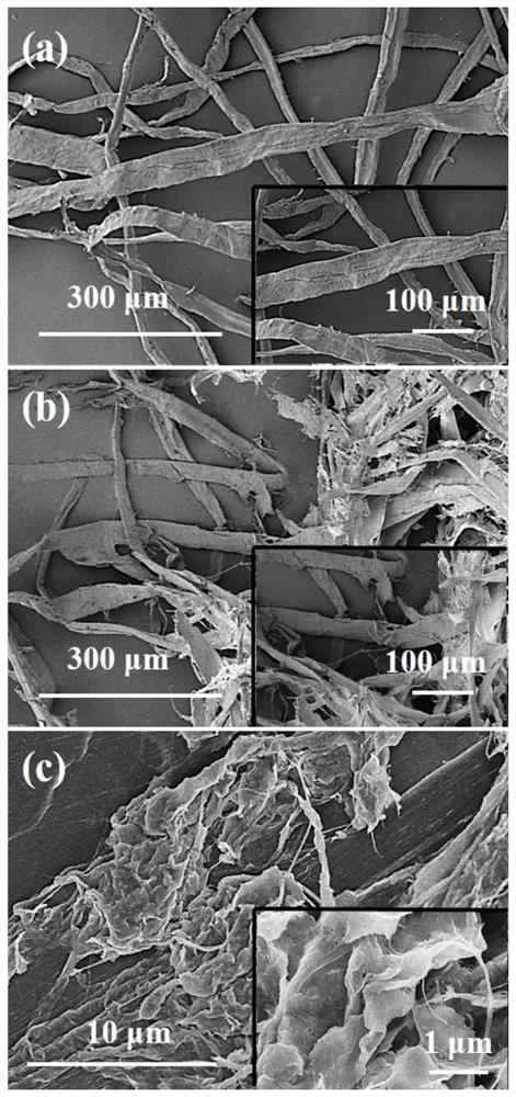 Antibacterial and antiviral plant fiber prepared from zinc chloride/urea eutectic system as well as method and application of antibacterial and antiviral plant fiber