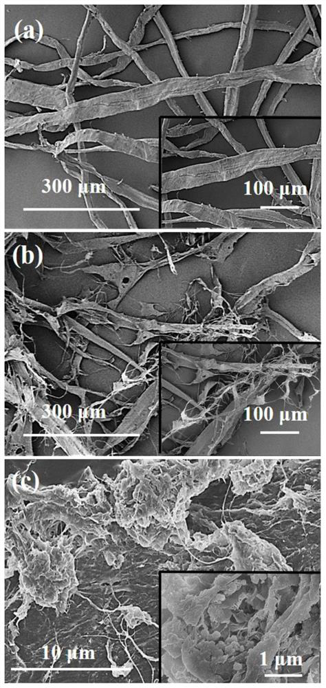 Antibacterial and antiviral plant fiber prepared from zinc chloride/urea eutectic system as well as method and application of antibacterial and antiviral plant fiber