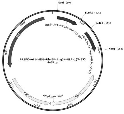 A kind of recombinant bacteria expressing glp-1 analog and its application