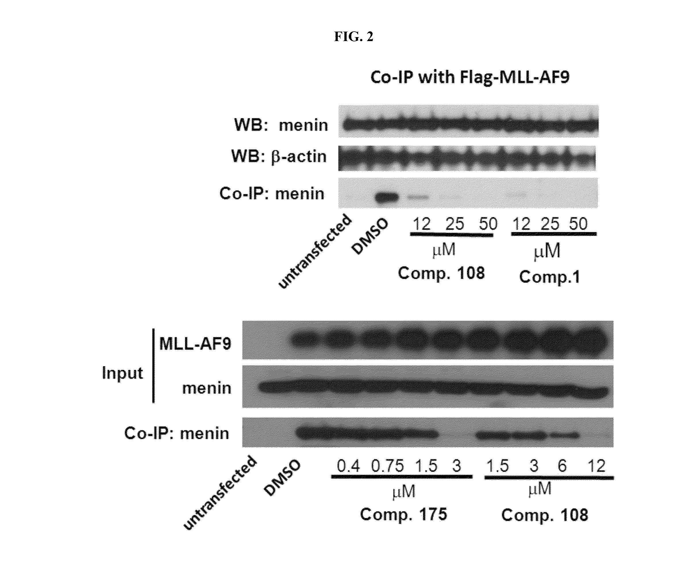 Compositions comprising thienopyrimidine and thienopyridine compounds and methods of use thereof