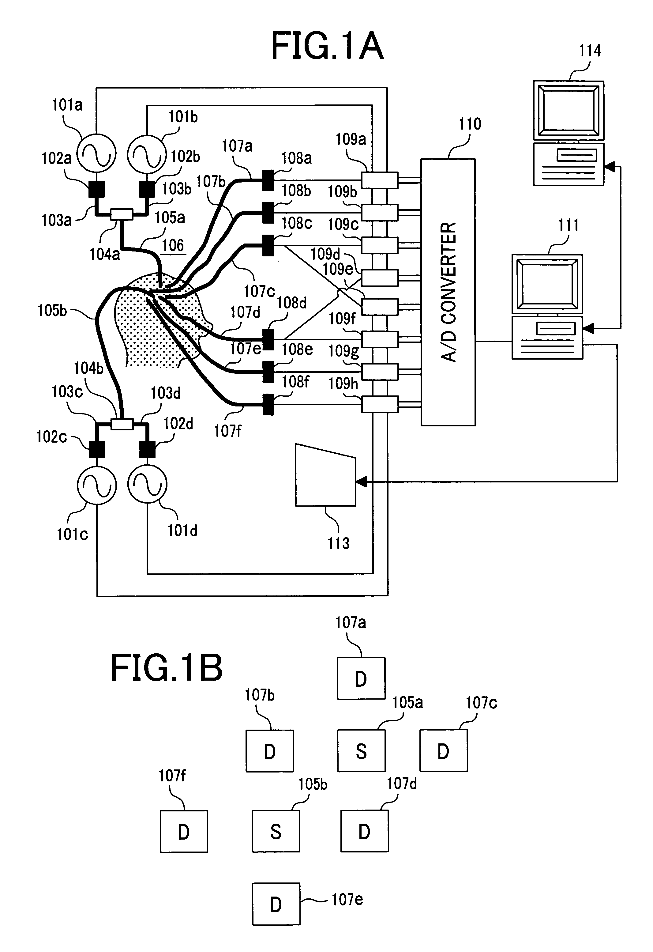 Optical measurement system for living bodies and method thereof