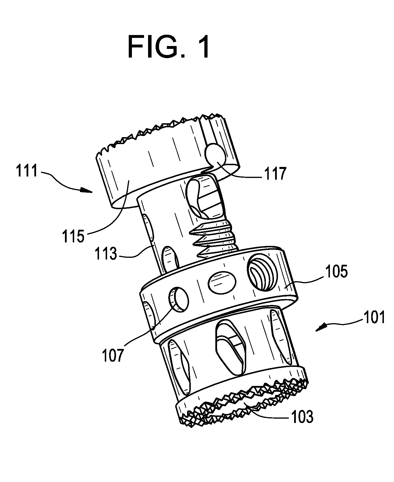 Minimally invasive corpectomy cage and instrument