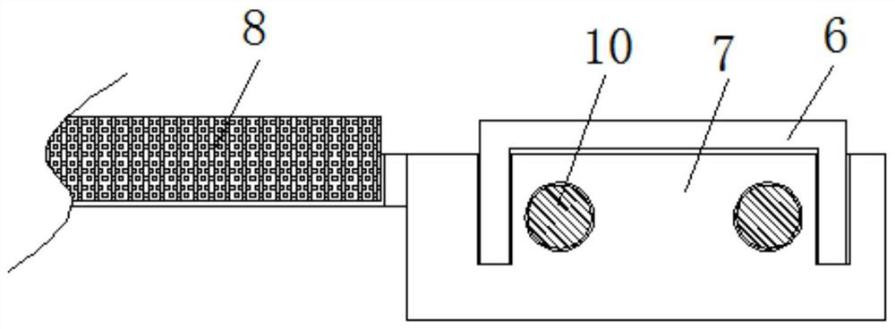 Equipment for detecting internal cracks of serpentine