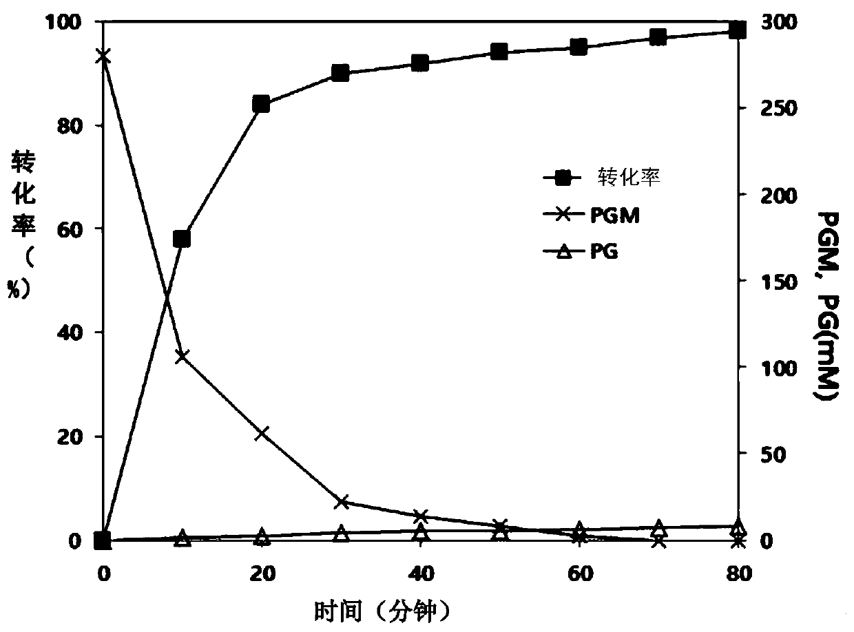 Mutants of penicillin G acylase from Achromobacter sp. CCM 4824 and uses thereof