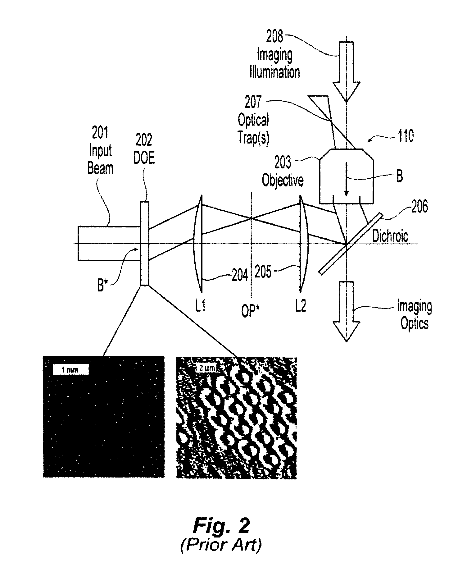 Apparatus and method for dynamic cellular probing and diagnostics using holographic optical forcing array