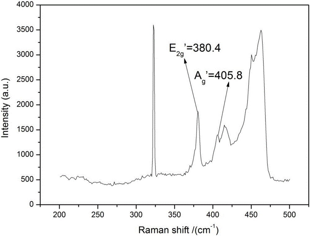 Method for reducing preparation of graphene-like molybdenum disulfide from protein substance
