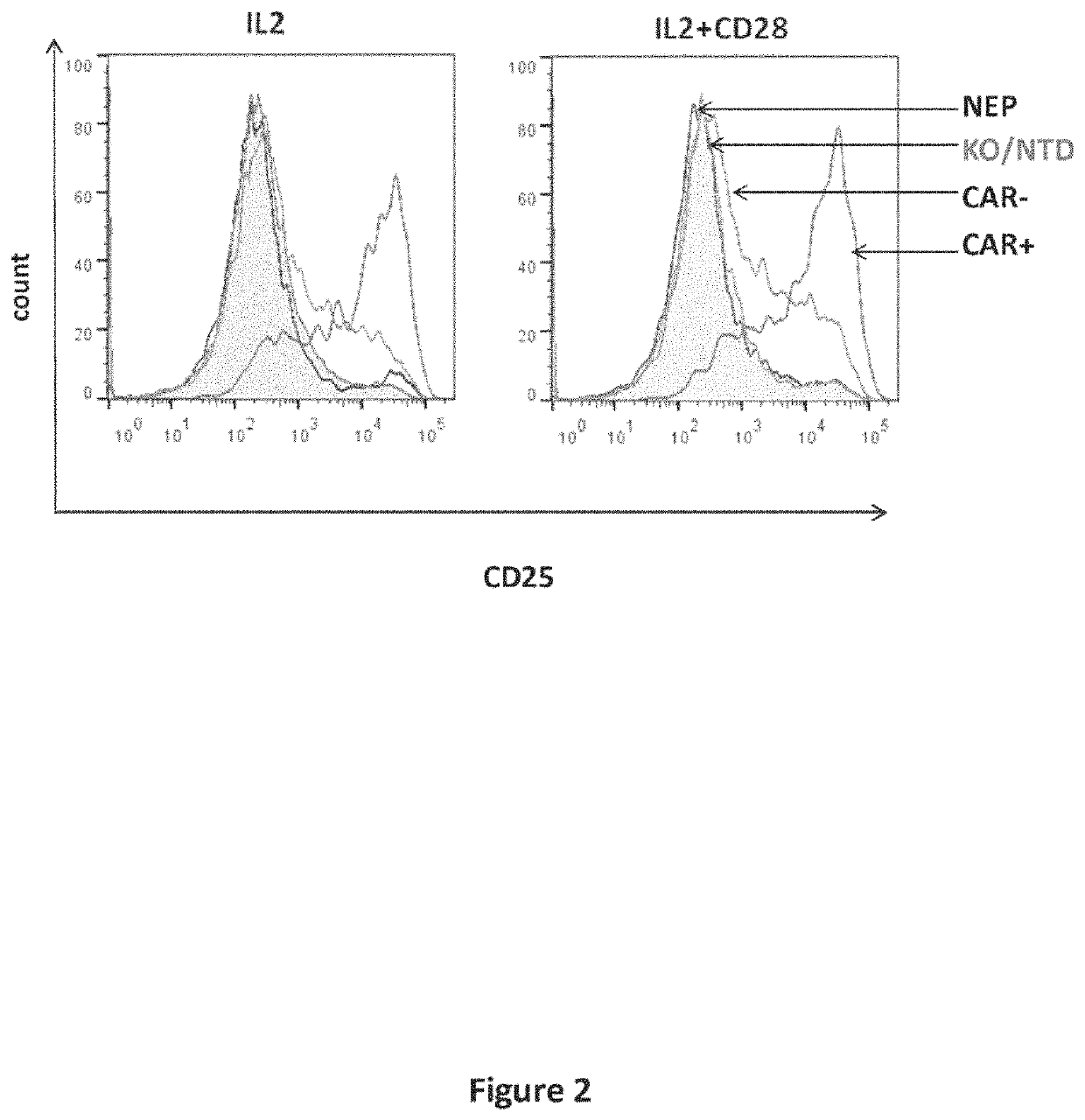 CD19 specific chimeric antigen receptor and uses thereof
