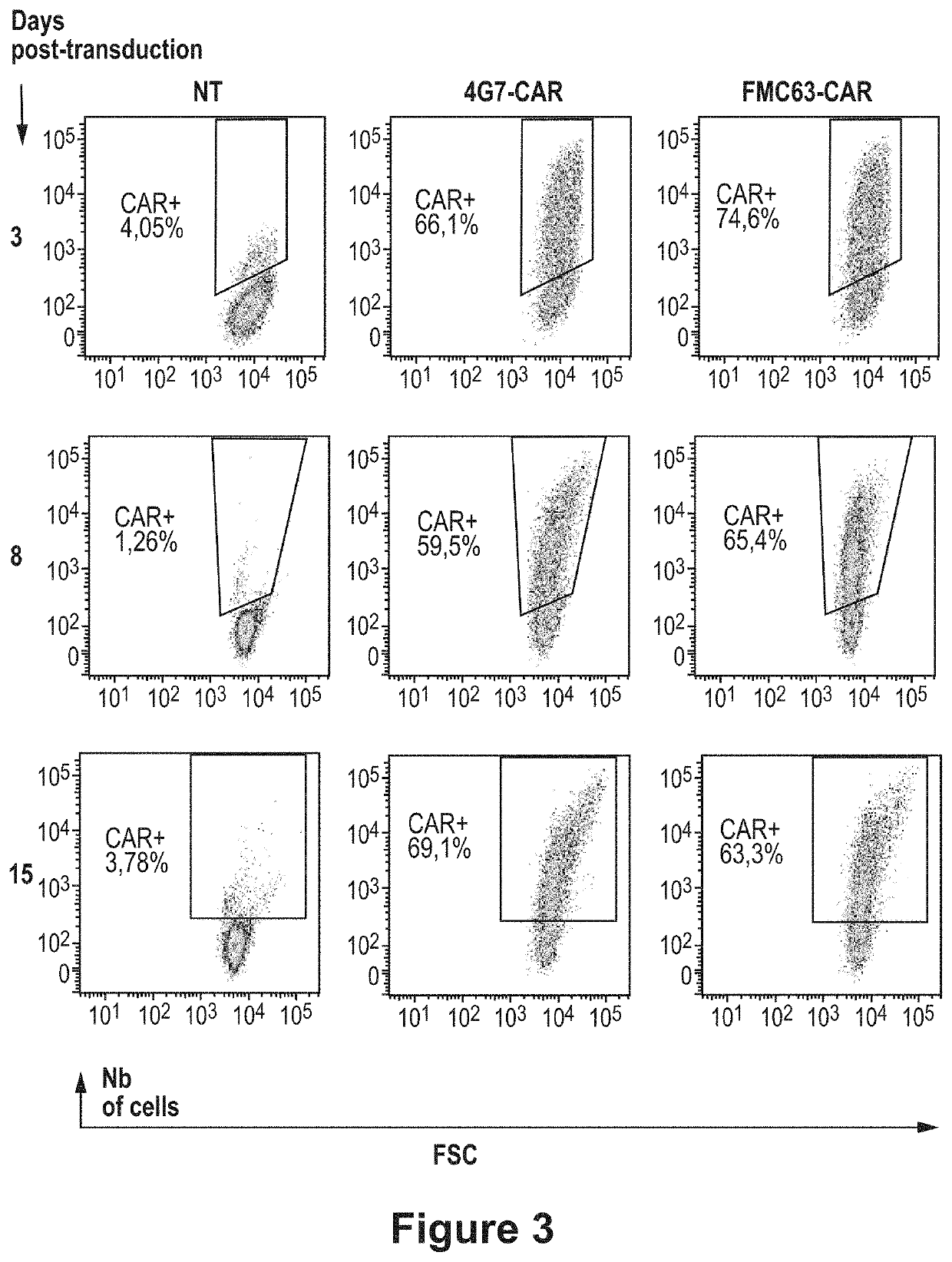 CD19 specific chimeric antigen receptor and uses thereof