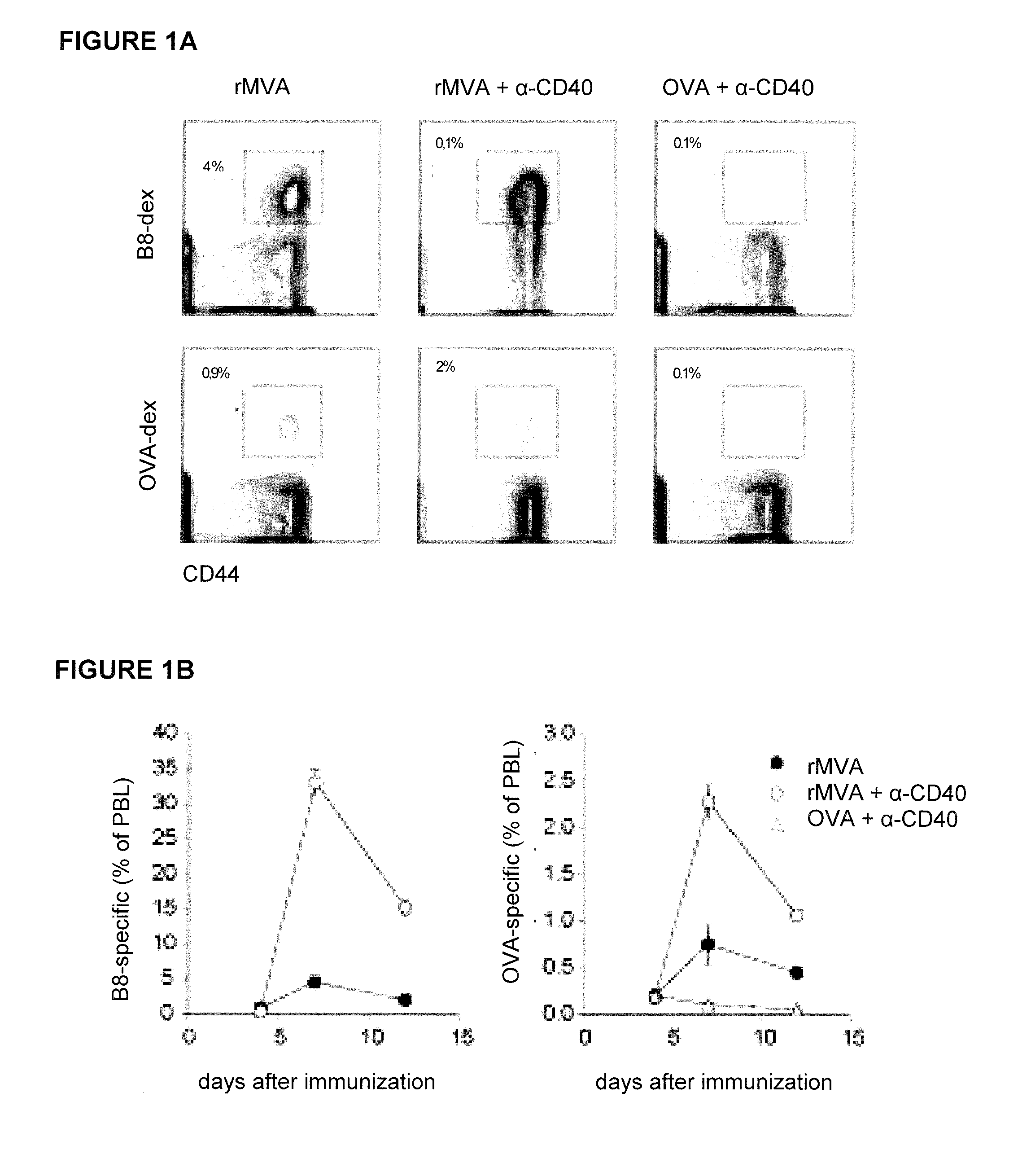 Methods and compositions for enhancing vaccine immune responses