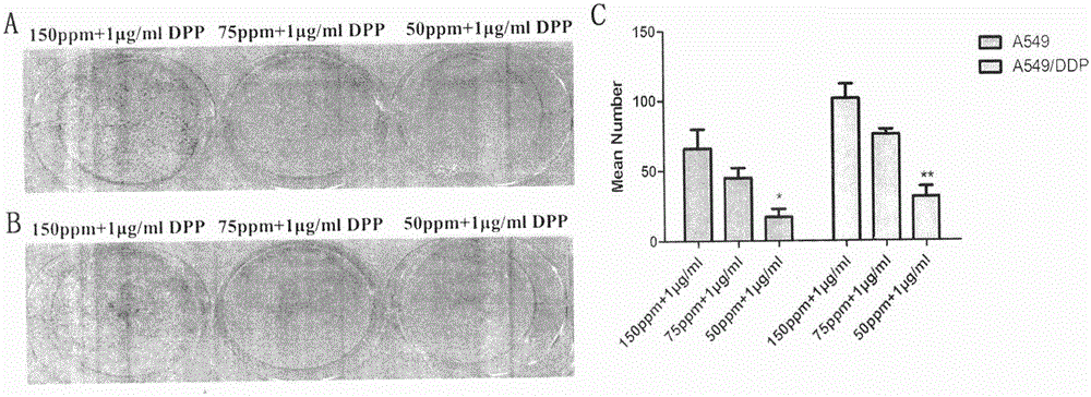 Application of deuterium-depleted water as tumor multidrug-resistance reversal agent