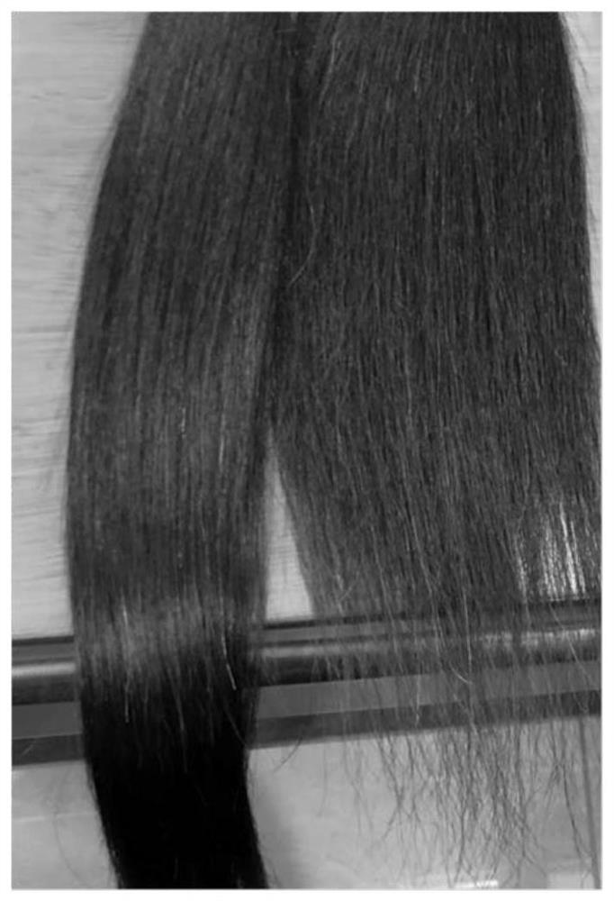 Cow hair fiber for wigs as well as straightening method and application of cow hair fiber