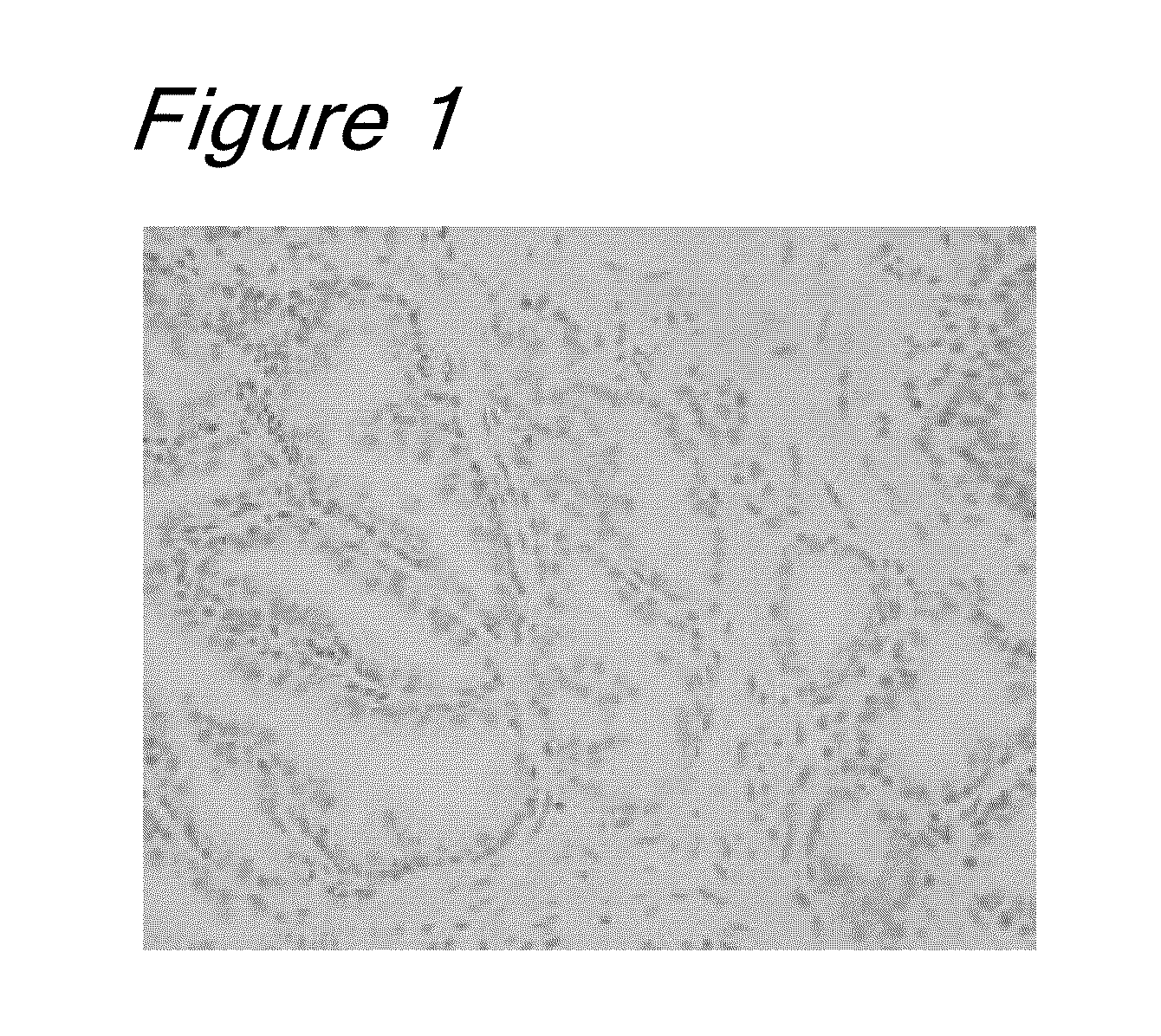 Novel method for specimen preparation, which ensures preservation of tissue morphology and nucleic acid quality