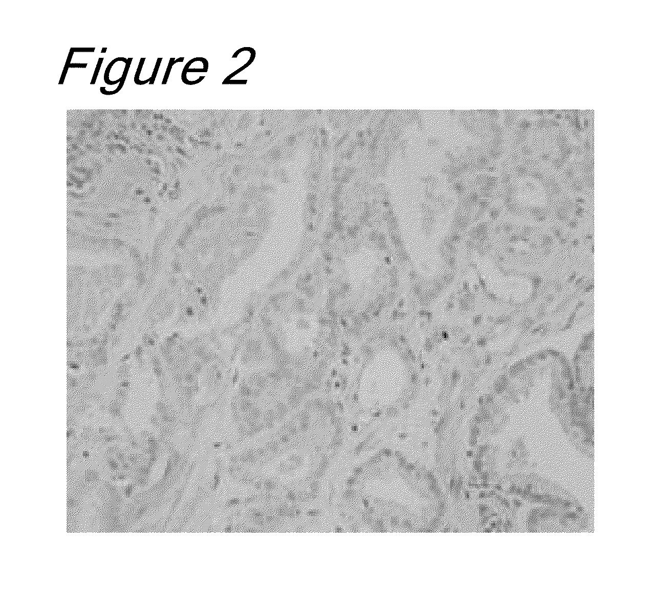 Novel method for specimen preparation, which ensures preservation of tissue morphology and nucleic acid quality