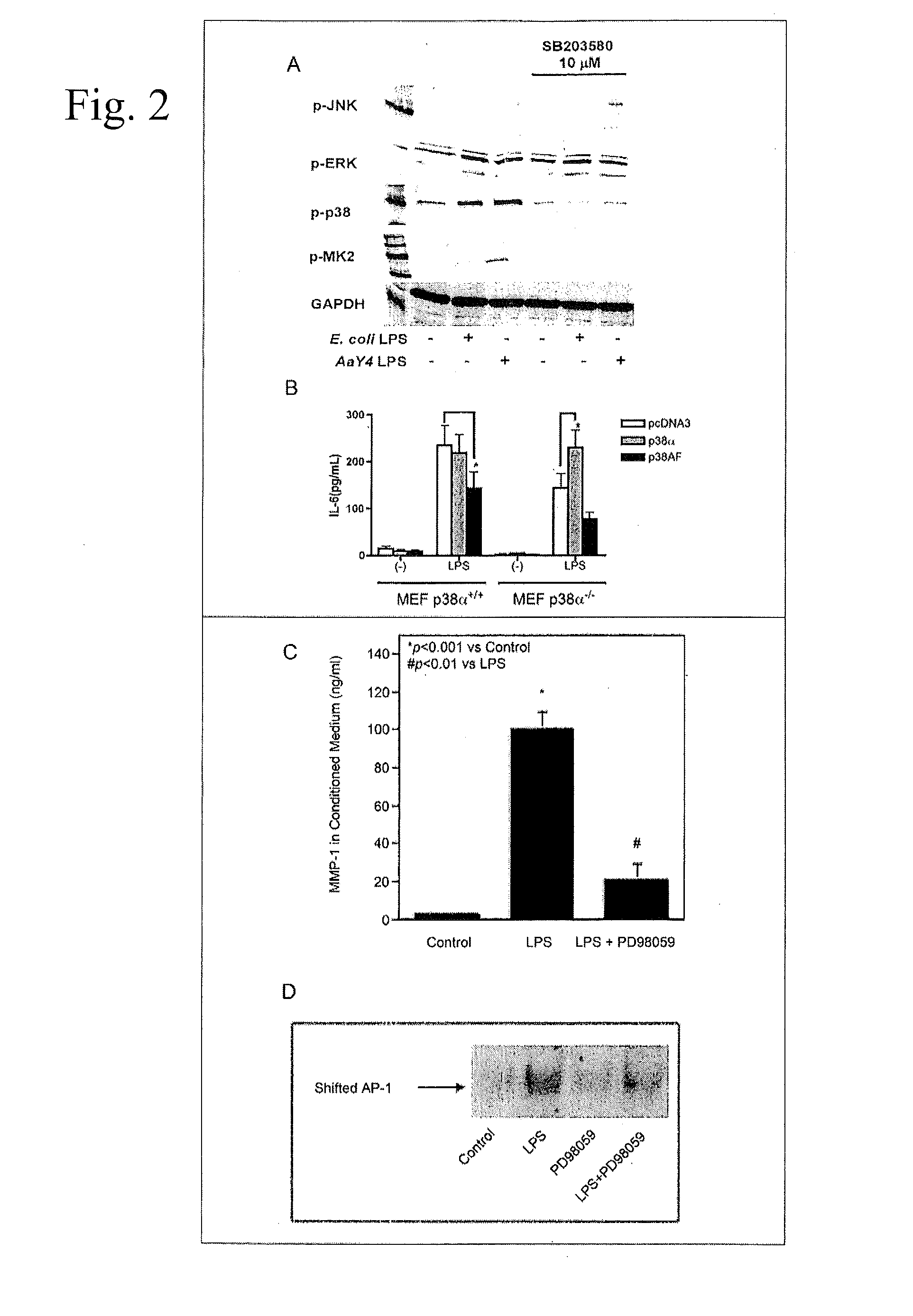 Methods and compositions for temporal release of agents from a biodegradable scaffold
