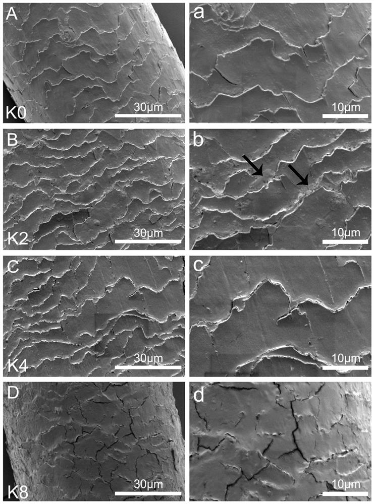 Keratin Fiber-Nerve Growth Factor Composite Scaffold for Nerve Tissue Engineering