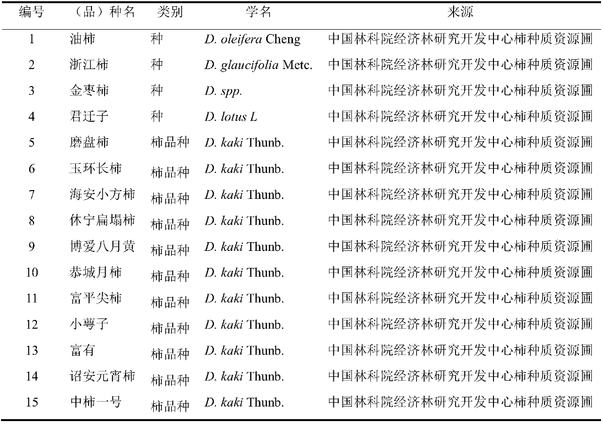 A method for identification of persimmon germplasm using cpdna molecular markers