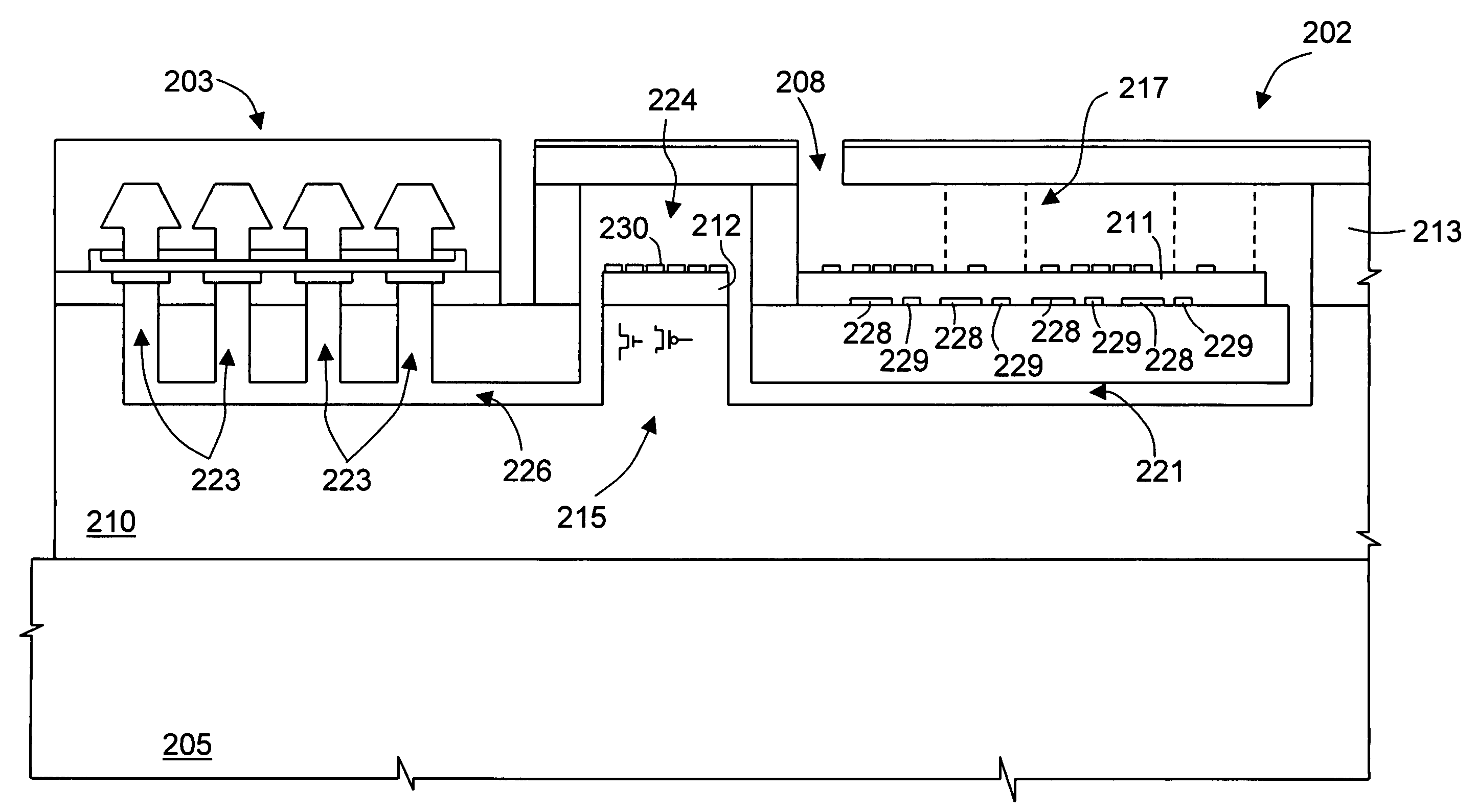 Apparatus for biochemical analysis