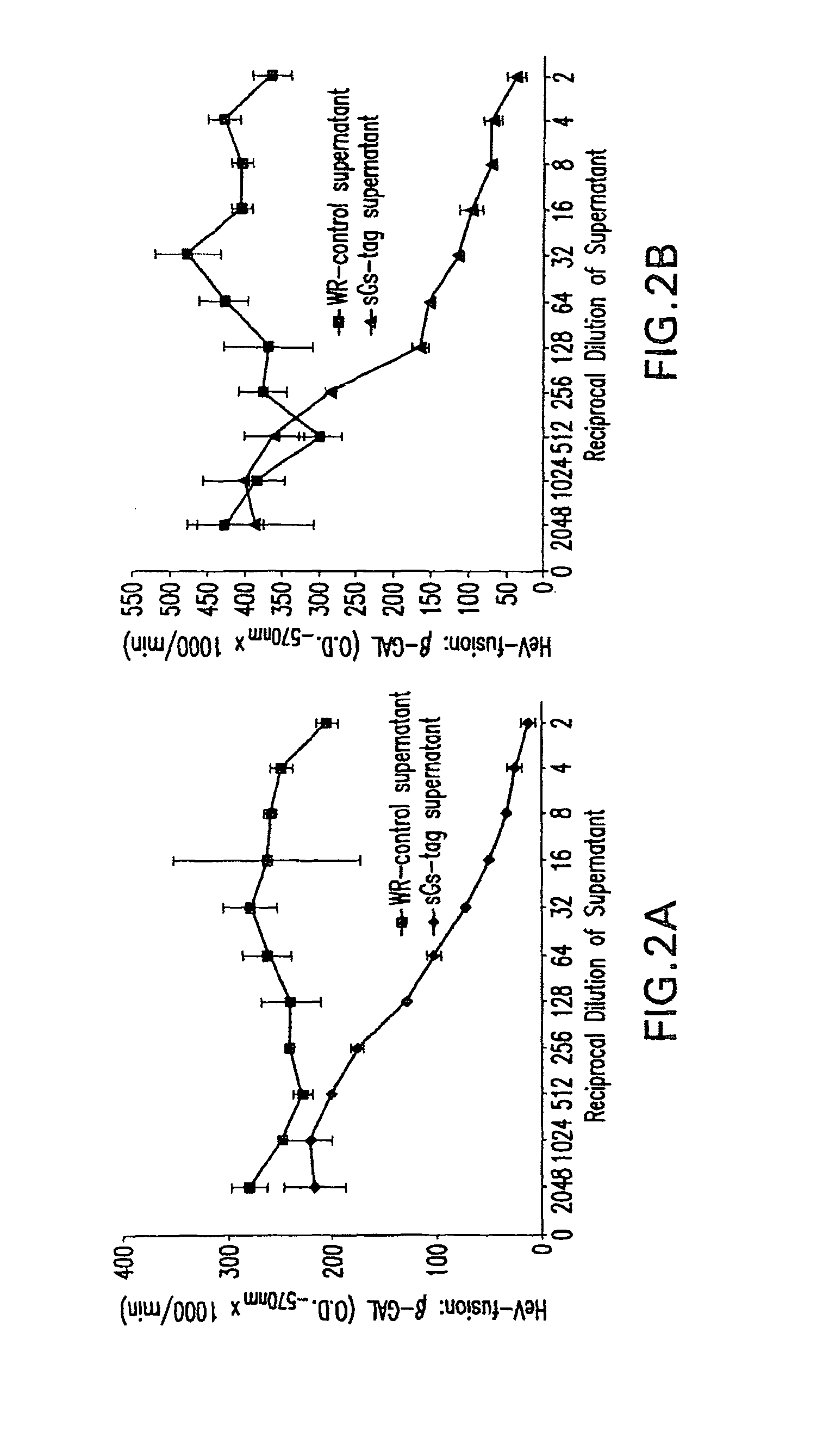 Soluble Forms of Hendra and Nipah Virus G Glycoprotein