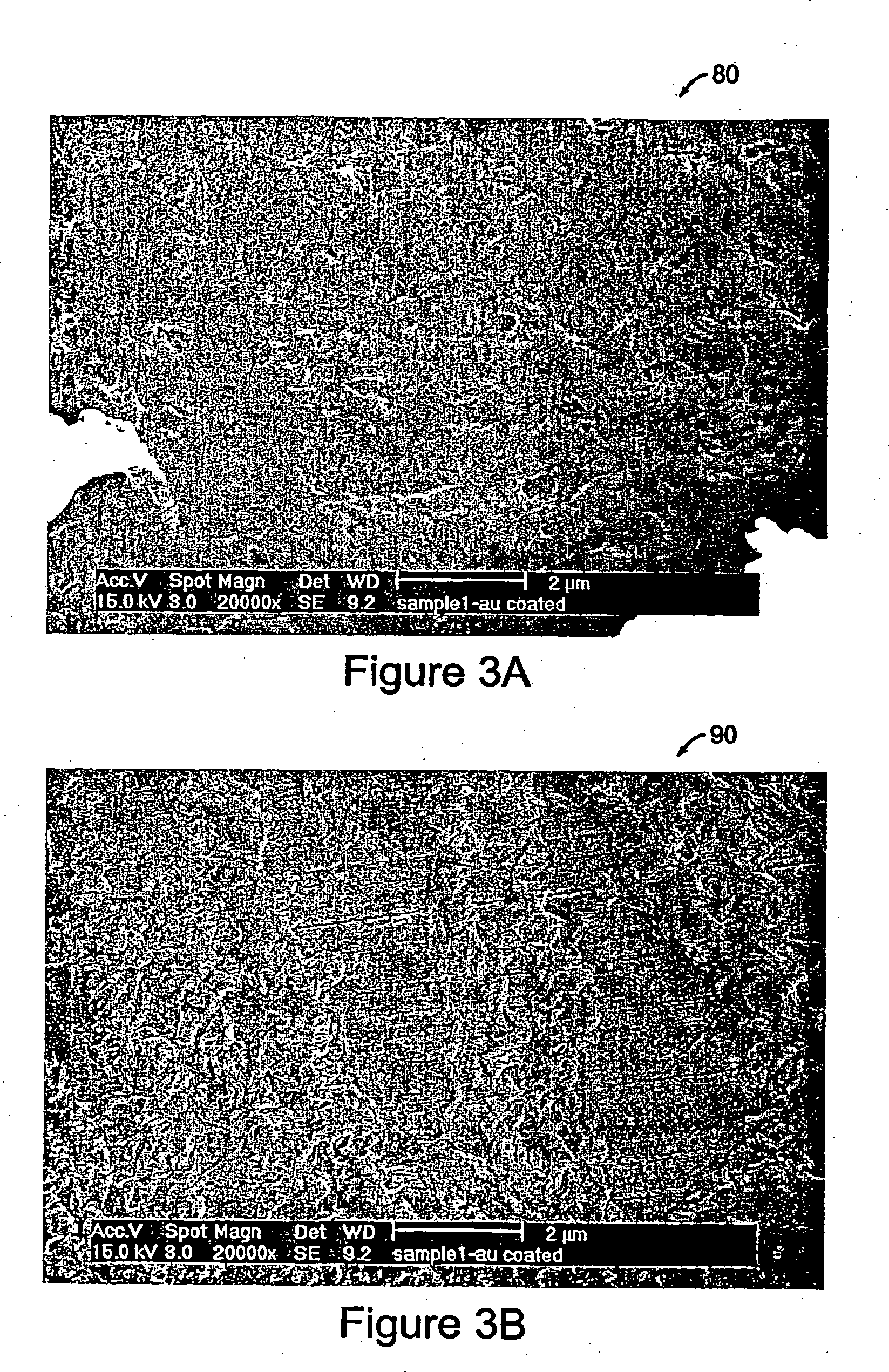 Layered aligned polymer structures and methods of making same