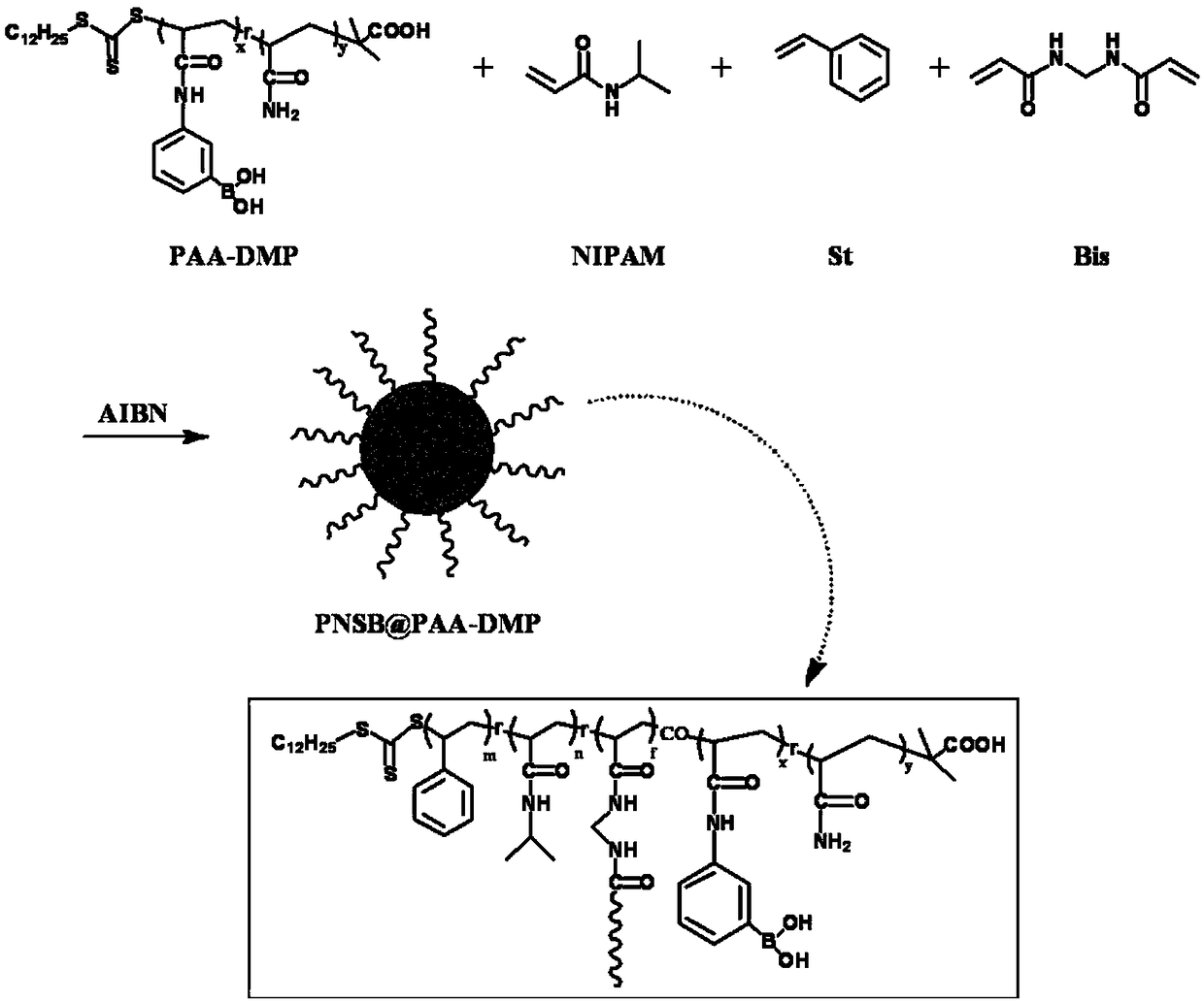 A temperature-responsive nuclear cross-linked star polymer with enrichment effect on glycoproteins and preparation method thereof