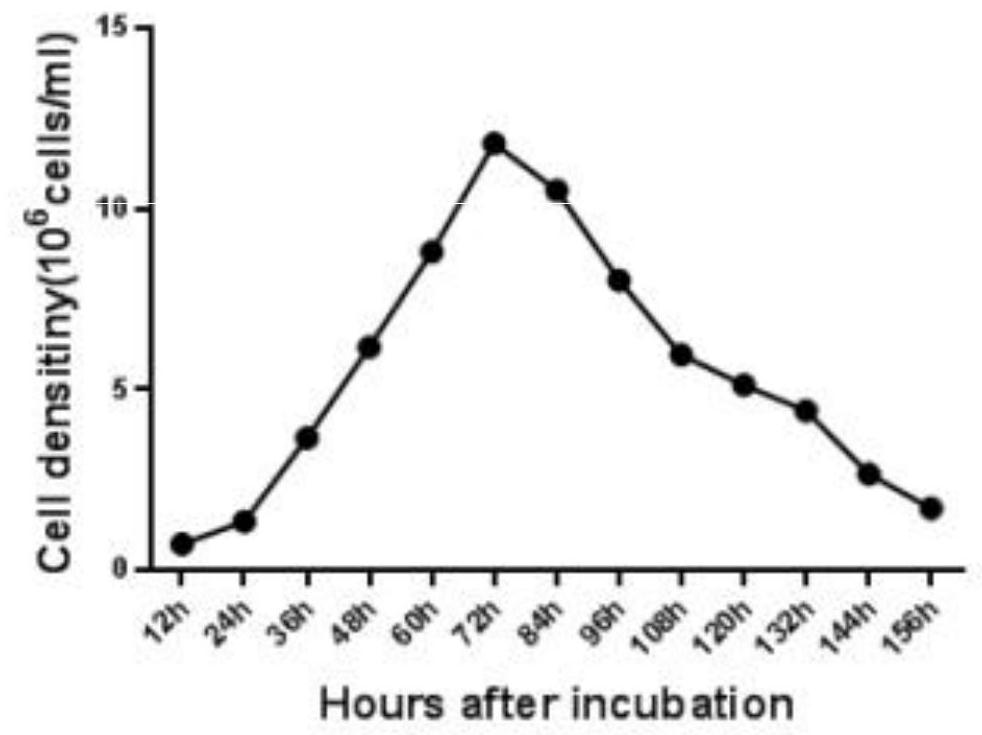 A kind of method that utilizes suspension cell line to prepare Seneca virus