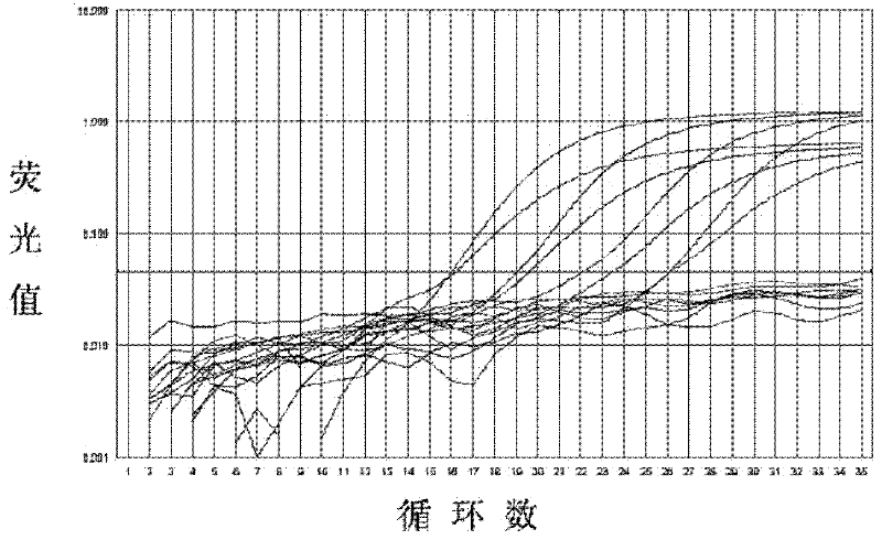 Kit for identifying Mycobacterium tuberculosis and nontuberculous mycobacteria and application method thereof