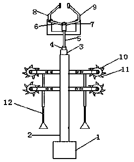 Agricultural viburnum picking device